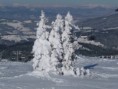 /album/fotogalerie-w/koralpe-2013-017-jpg/